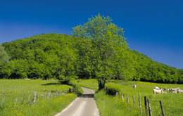 Meilenstein – gemeinsam auf gutem Weg